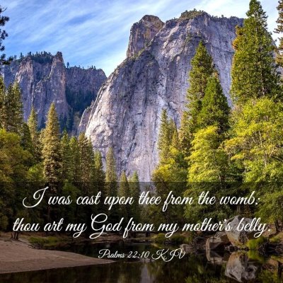 Picture 03 - Psalms 22:10 KJV - I was cast upon thee from the womb: thou art my - Bible Verse Picture
