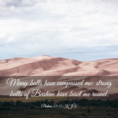 Picture 03 - Psalms 22:12 KJV - Many bulls have compassed me: strong bulls of - Bible Verse Picture