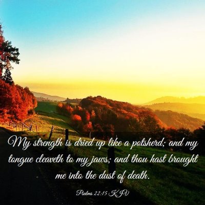 Picture 03 - Psalms 22:15 KJV - My strength is dried up like a potsherd; and my - Bible Verse Picture