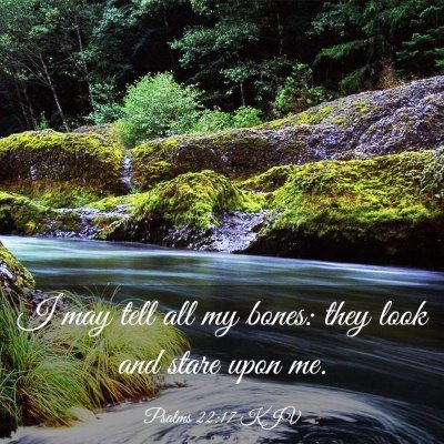 Picture 03 - Psalms 22:17 KJV - I may tell all my bones: they look and stare upon - Bible Verse Picture