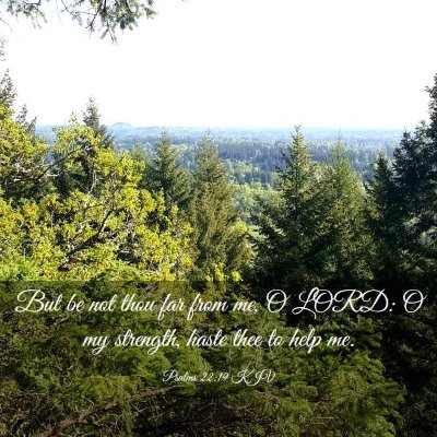 Picture 03 - Psalms 22:19 KJV - But be not thou far from me, O LORD: O my - Bible Verse Picture