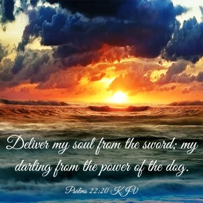 Picture 03 - Psalms 22:20 KJV - Deliver my soul from the sword; my darling from - Bible Verse Picture