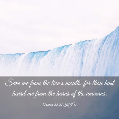 Picture 03 - Psalms 22:21 KJV - Save me from the lion's mouth: for thou hast - Bible Verse Picture