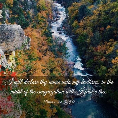 Picture 03 - Psalms 22:22 KJV - I will declare thy name unto my brethren: in the - Bible Verse Picture
