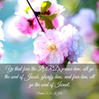 Picture 03 - Psalms 22:23 KJV - Ye that fear the LORD, praise him; all ye the - Bible Verse Picture