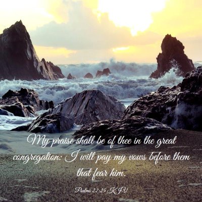 Picture 03 - Psalms 22:25 KJV - My praise shall be of thee in the great - Bible Verse Picture