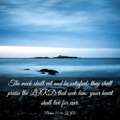 Picture 03 - Psalms 22:26 KJV - The meek shall eat and be satisfied: they shall - Bible Verse Picture