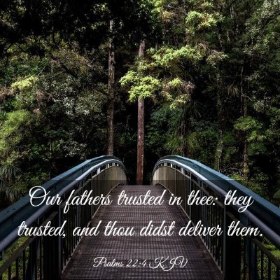 Picture 03 - Psalms 22:4 KJV - Our fathers trusted in thee: they trusted, and - Bible Verse Picture