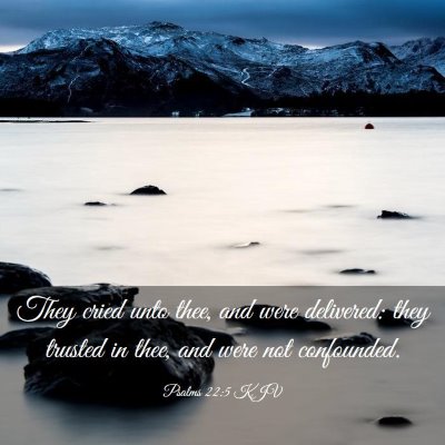Picture 03 - Psalms 22:5 KJV - They cried unto thee, and were delivered: they - Bible Verse Picture