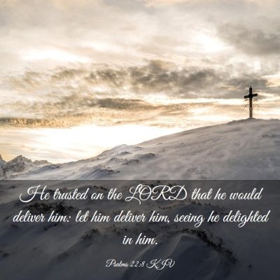 Picture 03 - Psalms 22:8 KJV - He trusted on the LORD that he would deliver him: - Bible Verse Picture