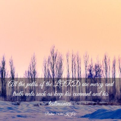 Picture 03 - Psalms 25:10 KJV - All the paths of the LORD are mercy and truth - Bible Verse Picture