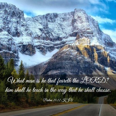 Picture 03 - Psalms 25:12 KJV - What man is he that feareth the LORD? him shall - Bible Verse Picture