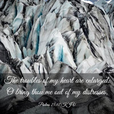 Picture 03 - Psalms 25:17 KJV - The troubles of my heart are enlarged: O bring - Bible Verse Picture