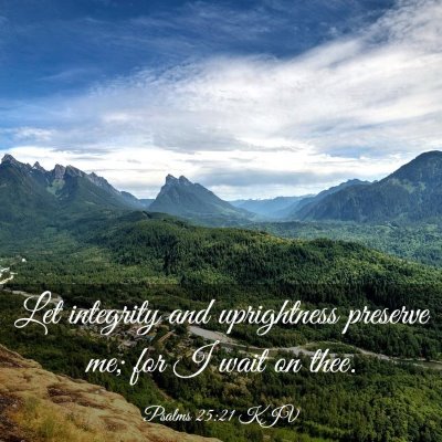 Picture 03 - Psalms 25:21 KJV - Let integrity and uprightness preserve me; for I - Bible Verse Picture
