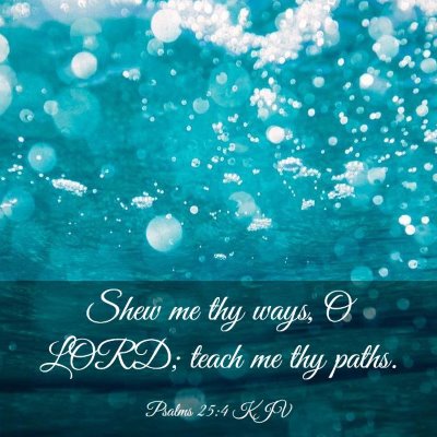 Picture 03 - Psalms 25:4 KJV - Shew me thy ways, O LORD; teach me thy - Bible Verse Picture