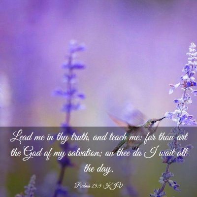 Picture 03 - Psalms 25:5 KJV - Lead me in thy truth, and teach me: for thou art - Bible Verse Picture