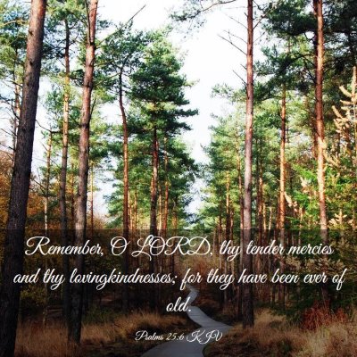 Picture 03 - Psalms 25:6 KJV - Remember, O LORD, thy tender mercies and thy - Bible Verse Picture