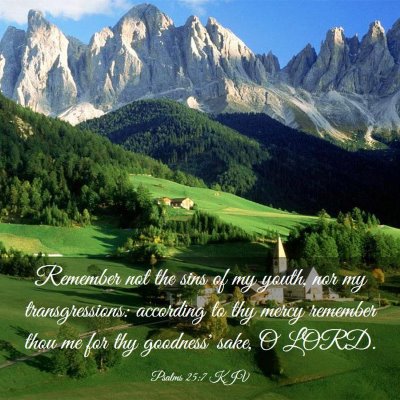 Picture 03 - Psalms 25:7 KJV - Remember not the sins of my youth, nor my - Bible Verse Picture