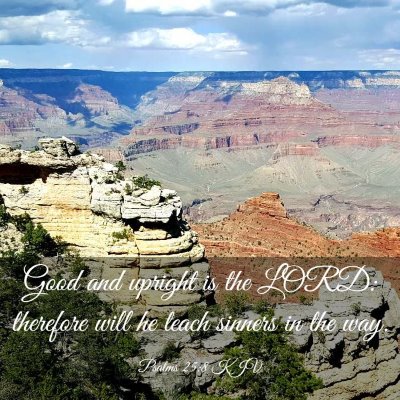 Picture 03 - Psalms 25:8 KJV - Good and upright is the LORD: therefore will he - Bible Verse Picture