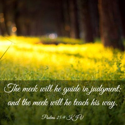 Picture 03 - Psalms 25:9 KJV - The meek will he guide in judgment: and the meek - Bible Verse Picture