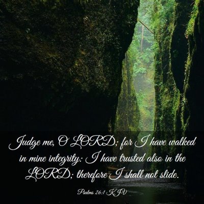 Picture 03 - Psalms 26:1 KJV - Judge me, O LORD; for I have walked in mine - Bible Verse Picture