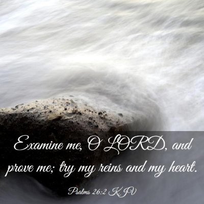 Picture 03 - Psalms 26:2 KJV - Examine me, O LORD, and prove me; try my reins - Bible Verse Picture