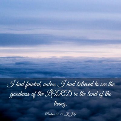 Picture 03 - Psalms 27:13 KJV - I had fainted, unless I had believed to see the - Bible Verse Picture