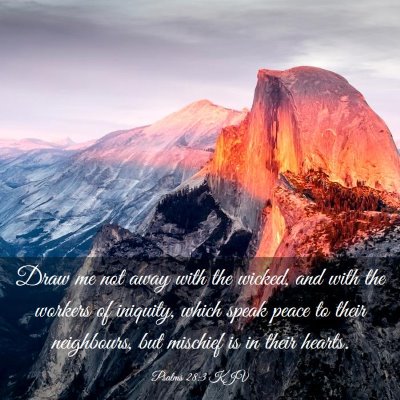 Picture 03 - Psalms 28:3 KJV - Draw me not away with the wicked, and with the - Bible Verse Picture