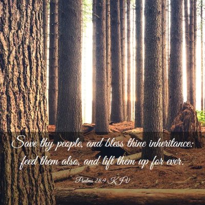 Picture 03 - Psalms 28:9 KJV - Save thy people, and bless thine inheritance: - Bible Verse Picture
