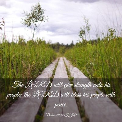 Picture 03 - Psalms 29:11 KJV - The LORD will give strength unto his people; the - Bible Verse Picture
