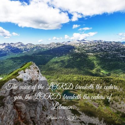 Picture 03 - Psalms 29:5 KJV - The voice of the LORD breaketh the cedars; yea, - Bible Verse Picture