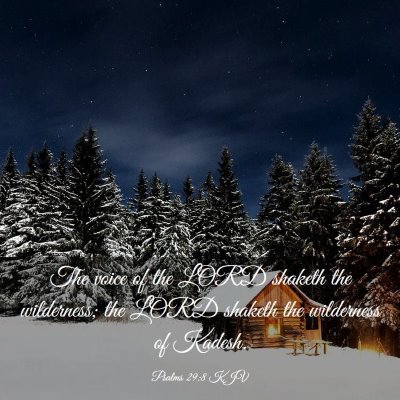 Picture 03 - Psalms 29:8 KJV - The voice of the LORD shaketh the wilderness; the - Bible Verse Picture