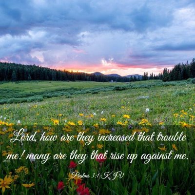 Picture 03 - Psalms 3:1 KJV - Lord, how are they increased that trouble me! - Bible Verse Picture