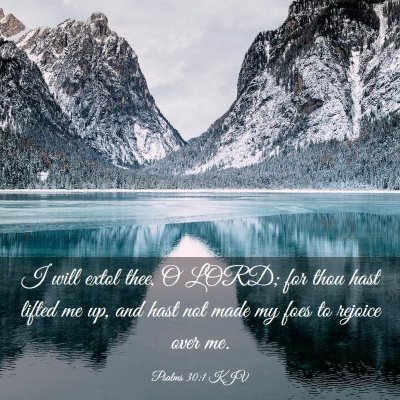Picture 03 - Psalms 30:1 KJV - I will extol thee, O LORD; for thou hast lifted - Bible Verse Picture