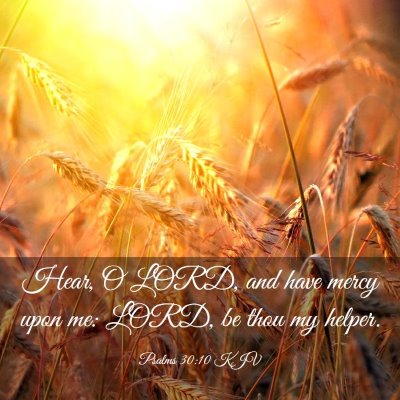 Picture 03 - Psalms 30:10 KJV - Hear, O LORD, and have mercy upon me: LORD, be - Bible Verse Picture