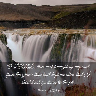 Picture 03 - Psalms 30:3 KJV - O LORD, thou hast brought up my soul from the - Bible Verse Picture