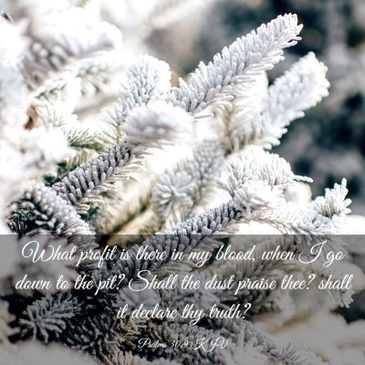 Picture 03 - Psalms 30:9 KJV - What profit is there in my blood, when I go down - Bible Verse Picture