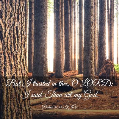 Picture 03 - Psalms 31:14 KJV - But I trusted in thee, O LORD: I said, Thou art - Bible Verse Picture