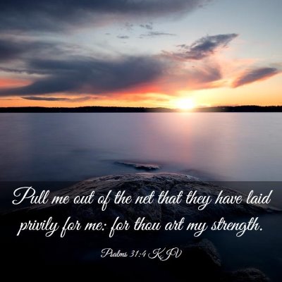 Picture 03 - Psalms 31:4 KJV - Pull me out of the net that they have laid - Bible Verse Picture