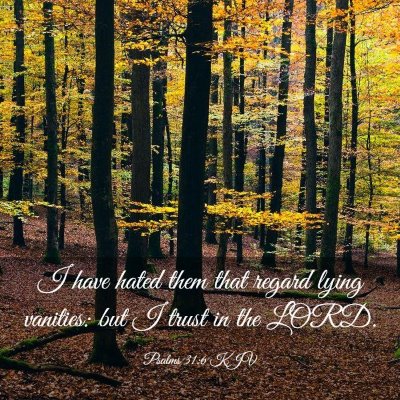 Picture 03 - Psalms 31:6 KJV - I have hated them that regard lying vanities: but - Bible Verse Picture