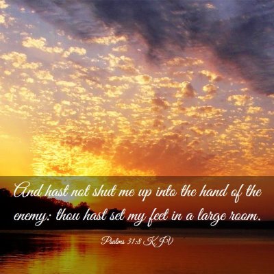 Picture 03 - Psalms 31:8 KJV - And hast not shut me up into the hand of the - Bible Verse Picture