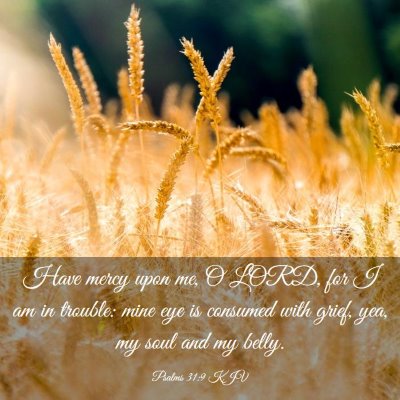 Picture 03 - Psalms 31:9 KJV - Have mercy upon me, O LORD, for I am in trouble: - Bible Verse Picture
