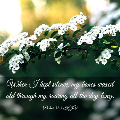 Picture 03 - Psalms 32:3 KJV - When I kept silence, my bones waxed old through - Bible Verse Picture