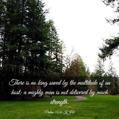 Picture 03 - Psalms 33:16 KJV - There is no king saved by the multitude of an - Bible Verse Picture