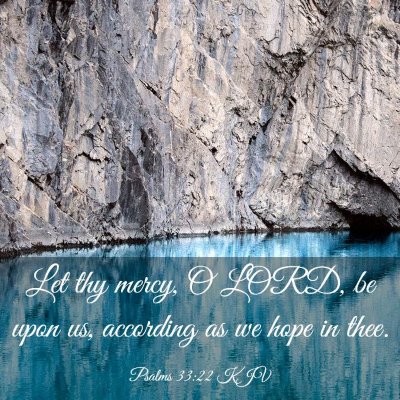 Picture 03 - Psalms 33:22 KJV - Let thy mercy, O LORD, be upon us, according as - Bible Verse Picture