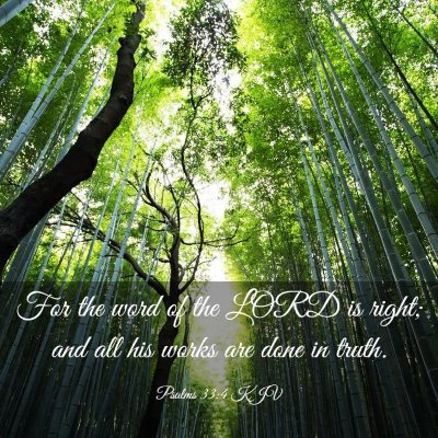 Picture 03 - Psalms 33:4 KJV - For the word of the LORD is right; and all his - Bible Verse Picture