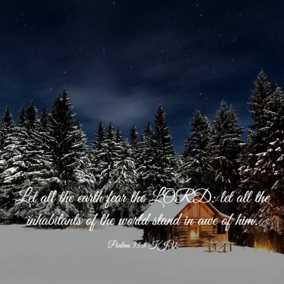 Picture 03 - Psalms 33:8 KJV - Let all the earth fear the LORD: let all the - Bible Verse Picture