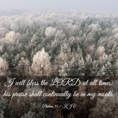 Picture 03 - Psalms 34:1 KJV - I will bless the LORD at all times: his praise - Bible Verse Picture