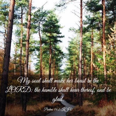 Picture 03 - Psalms 34:2 KJV - My soul shall make her boast in the LORD: the - Bible Verse Picture