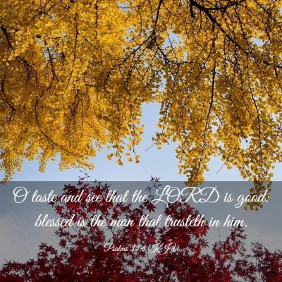 Picture 03 - Psalms 34:8 KJV - O taste and see that the LORD is good: blessed is - Bible Verse Picture